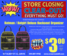 Load image into Gallery viewer, KidsEmbrace DC Comics Batgirl / Batman Deluxe Backseat Organizer