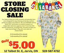 Load image into Gallery viewer, CLEARANCE! STORE CLOSING! Baby Neutral Animals - Sleep 'N Play