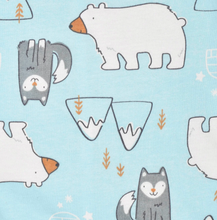 Load image into Gallery viewer, CLEAR-OUT SALE! Baby Boys Polar Pals - Sleep N Play - Prepack