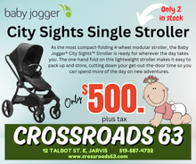 Load image into Gallery viewer, Baby Jogger city sights™ Single Stroller
