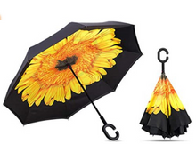 Load image into Gallery viewer, Assorted Umbrellas With Pattern
